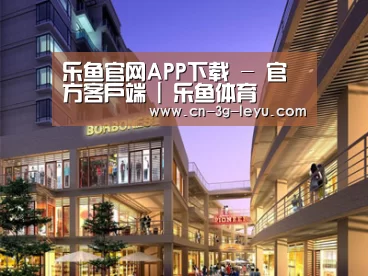 案例展示一(图1)